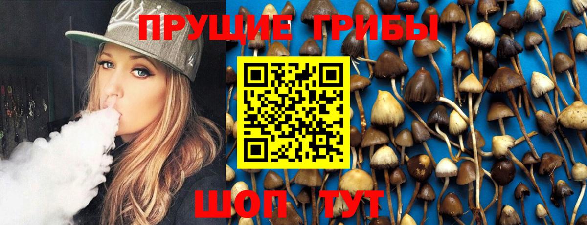 Галлюциногенные грибы Psilocybine cubensis  Галлюциногенные грибы Psilocybe  Вход с VPN  Аргун 